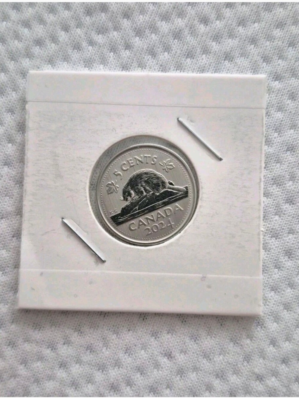 Specimen 2024 Canada 5 Cents From Mint's Set 🇨🇦 Brand New Spicemen CANADA